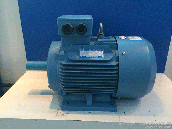 電廠高效節(jié)能電機的應用研究——西安泰富西瑪電機(西安西瑪電機集團股份有限公司)官方網(wǎng)站 電廠高效節(jié)能電機的應用研究——西安泰富西瑪電機(西安西瑪電機集團股份有限公司)官方網(wǎng)站