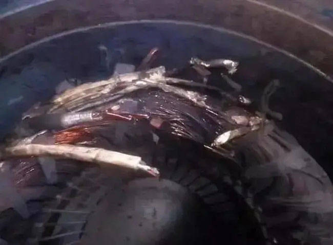 帶熱繼電器保護(hù)的電機(jī)頻繁燒毀的原因是什么？